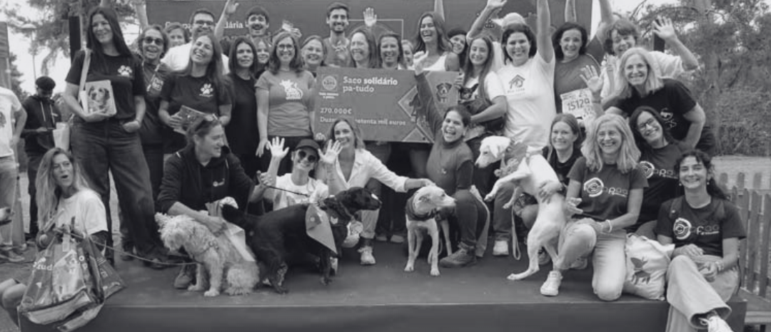 Lidl entrega 270 mil euros a 54 associações de proteção animal