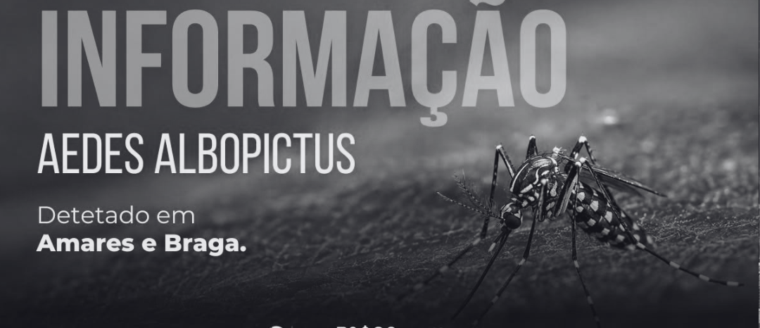 Mosquito transmissor de Dengue detetado em Braga e Amares